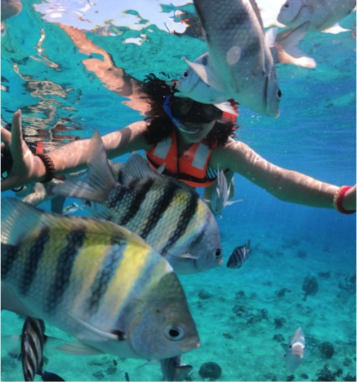 Cozumel Clear Boat Tour - Imagen 6