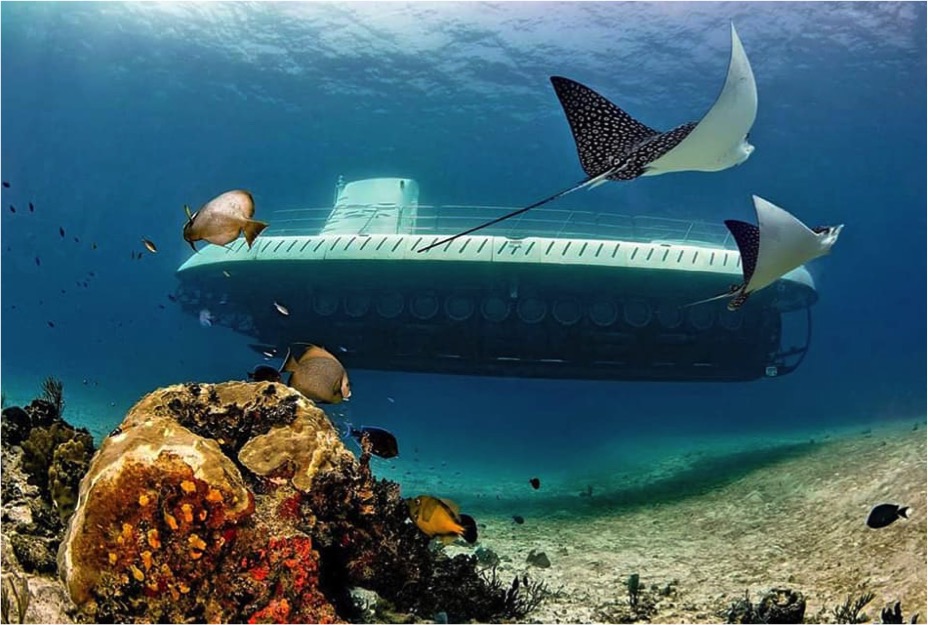 Cozumel Submarine Tour - Imagen 7