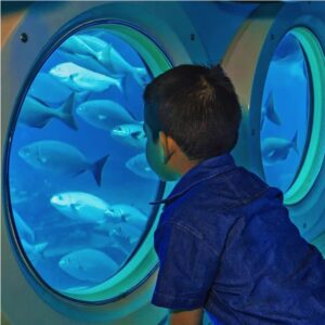 Cozumel Submarine Tour