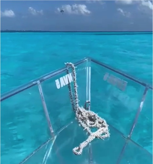 Cozumel Clear Boat Tour - Imagen 5